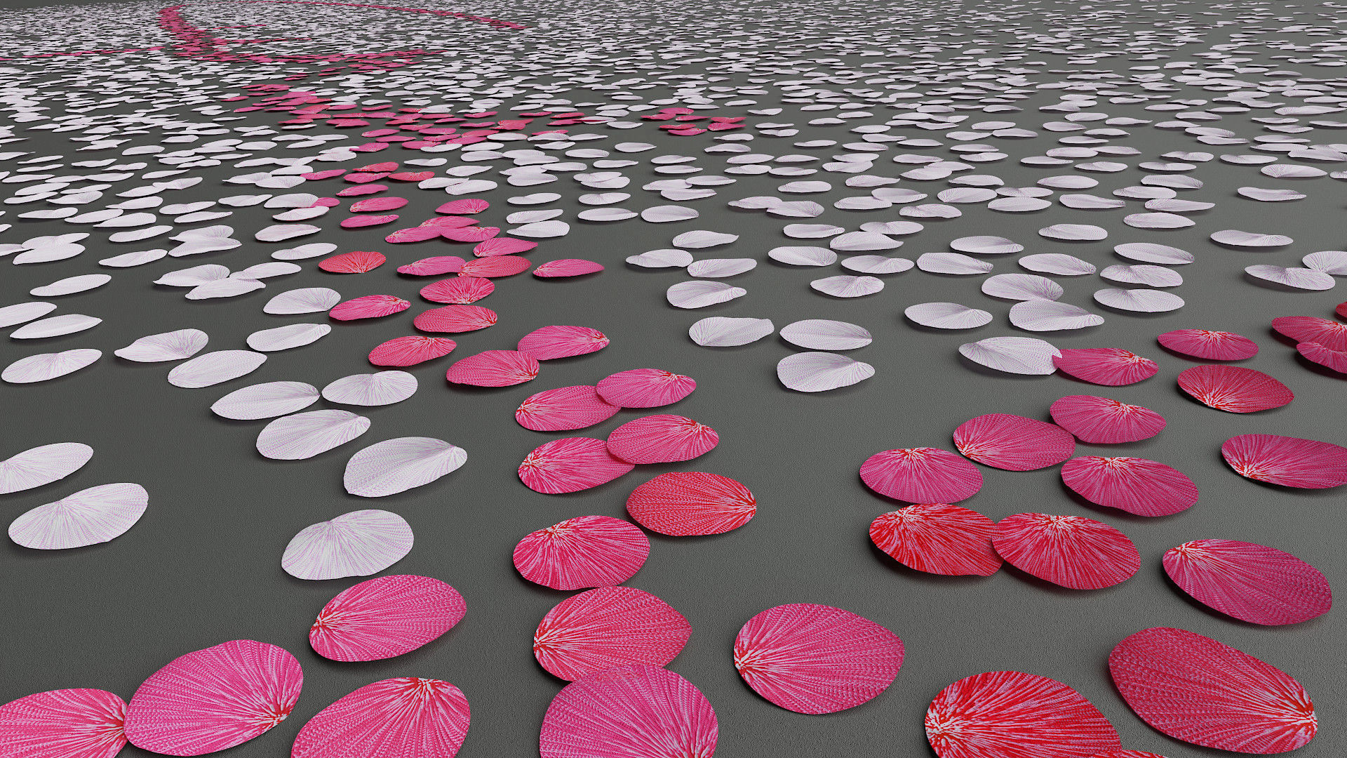 image de synthèse de pétales de fleurs, 100% digitale, CGI avertising, procedural 